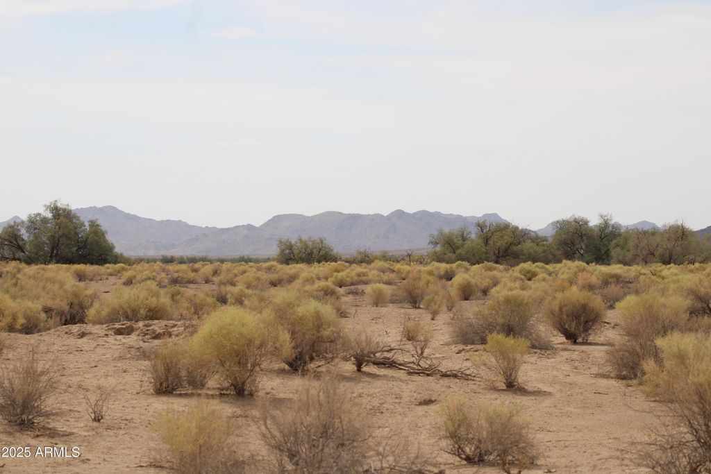 Photo of 0 W Roeser Road #-, Tonopah, AZ 85354 (MLS # 6925638)