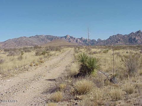 18 E HERON Place Saint David AZ 85630