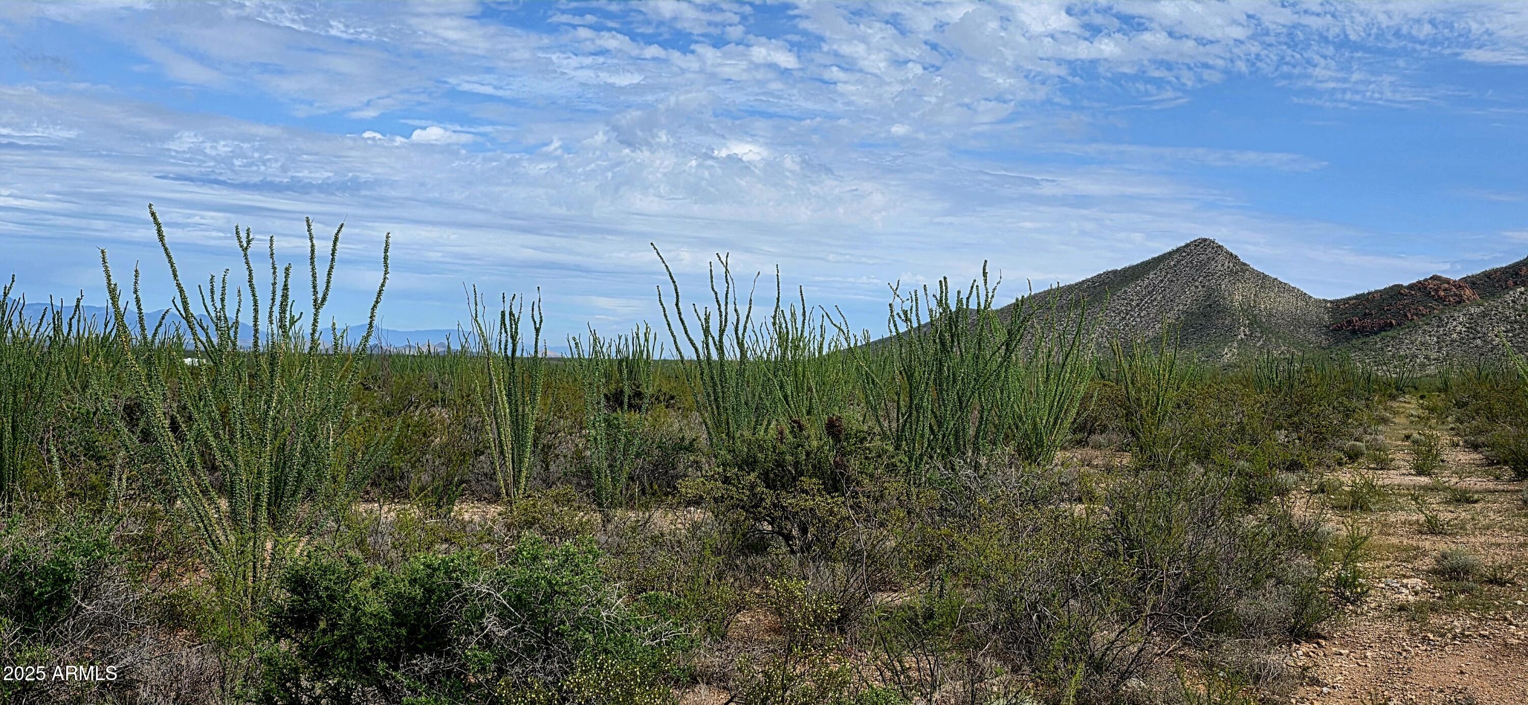 Lots 3 & 4 S Lonesome Drive 3