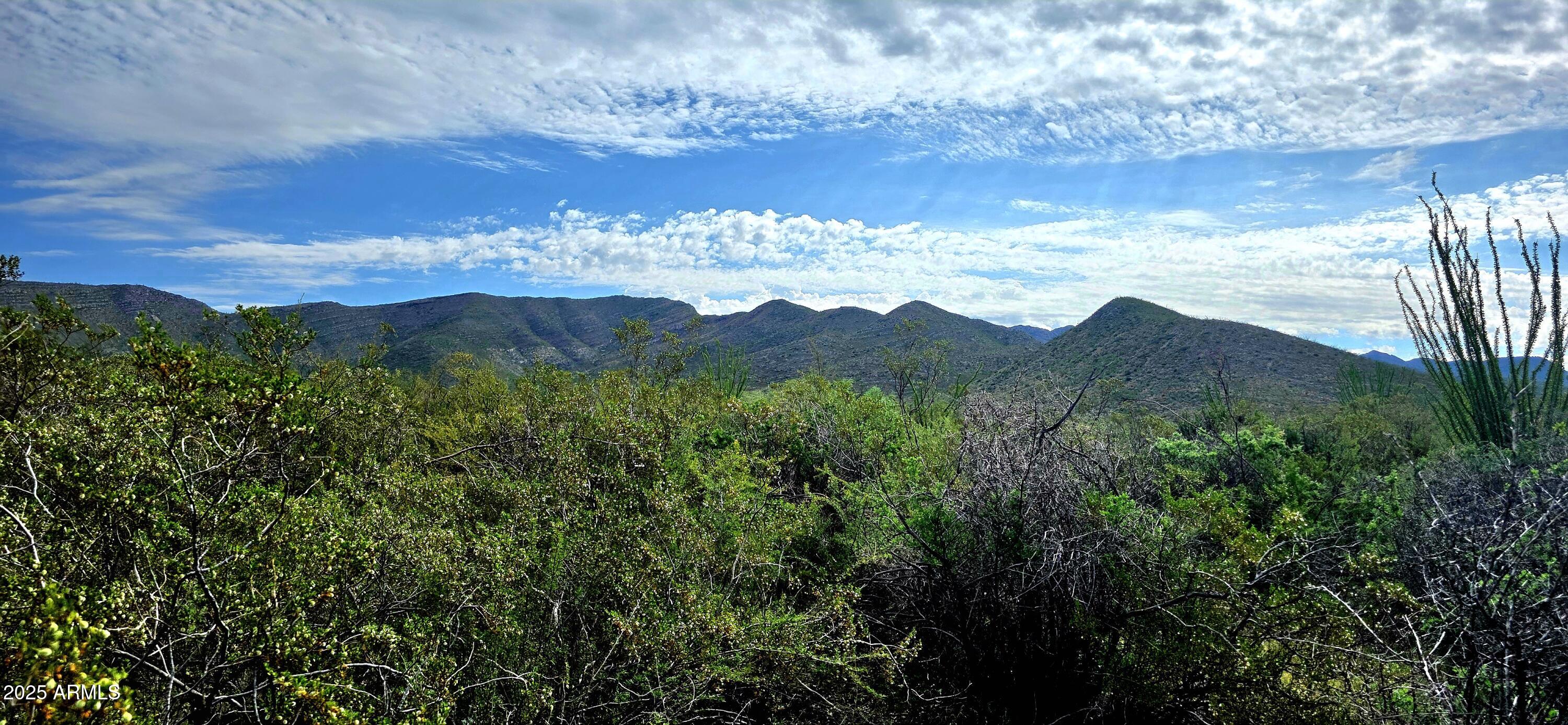 Lots 3 & 4 S Lonesome Drive 3