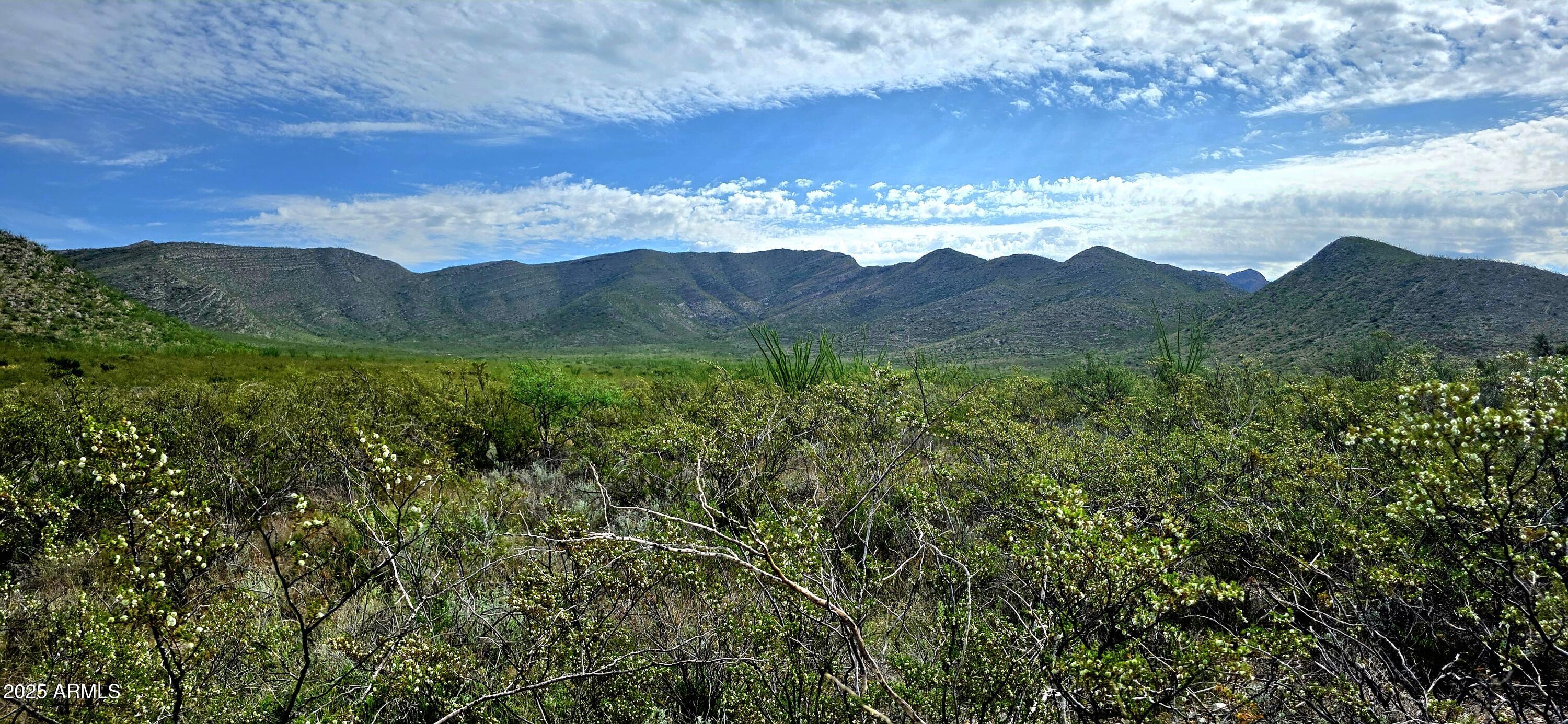 Lots 3 & 4 S Lonesome Drive 3