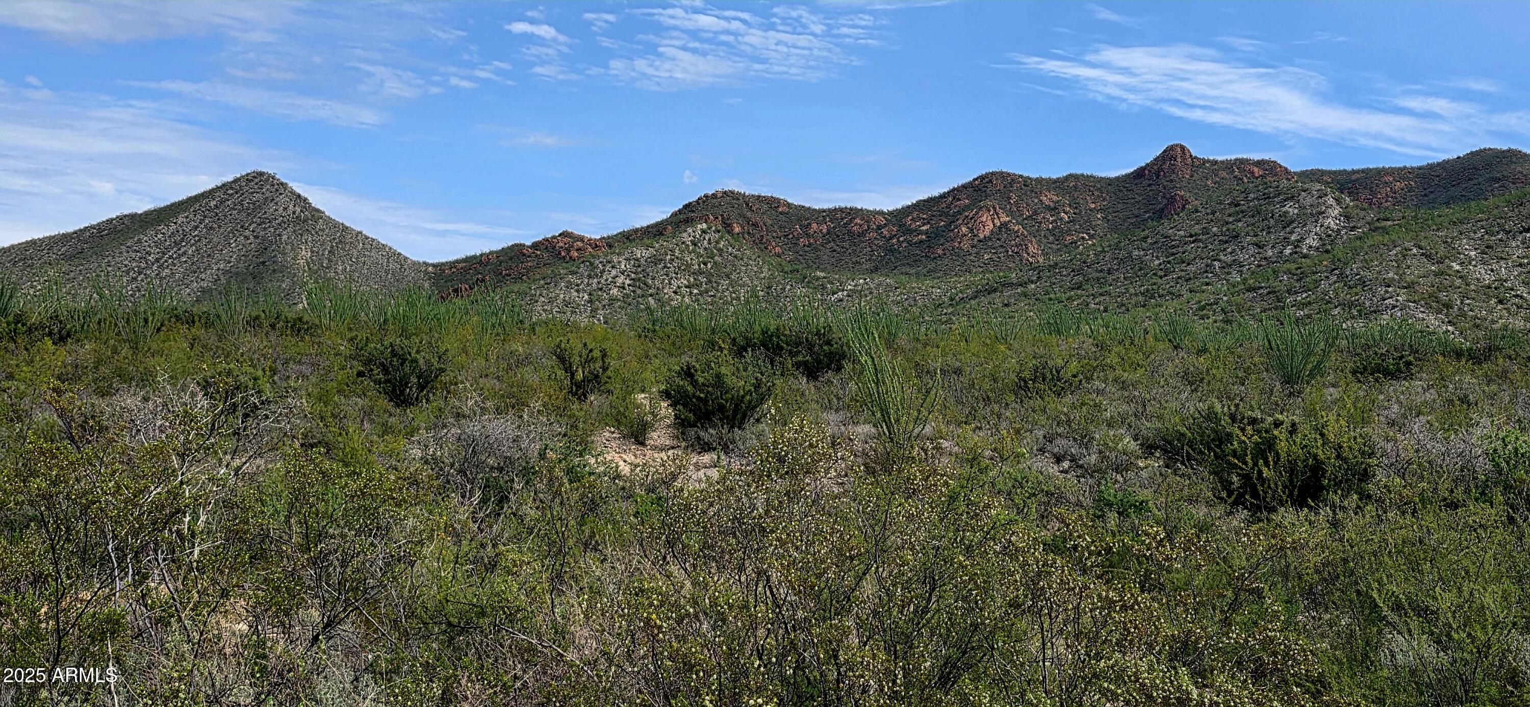 Lots 3 & 4 S Lonesome Drive 3