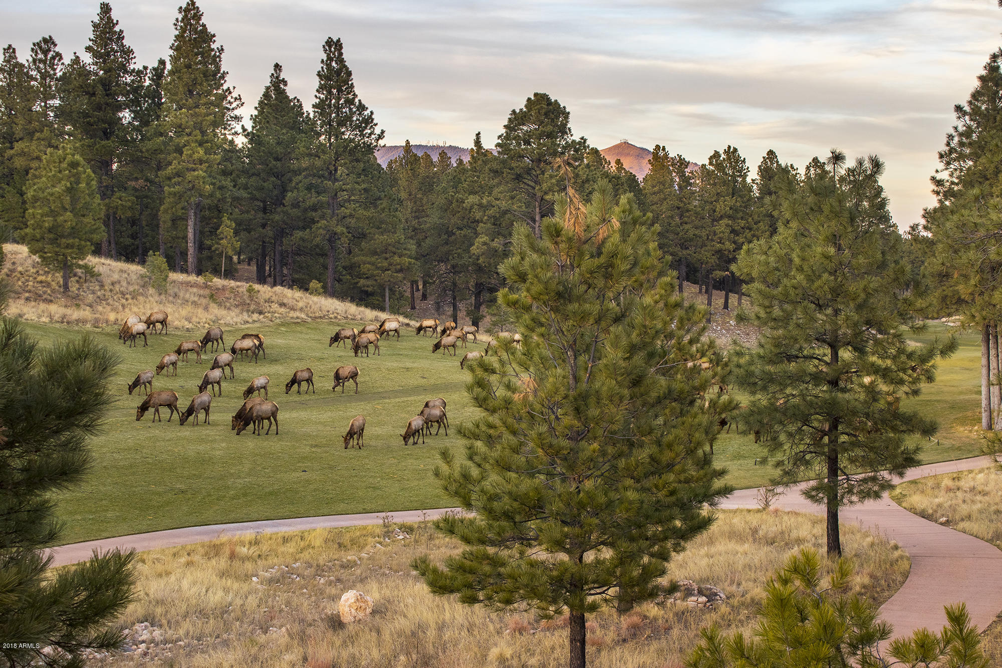 ESTATES AT PINE CANYON UNIT 2 - Residential