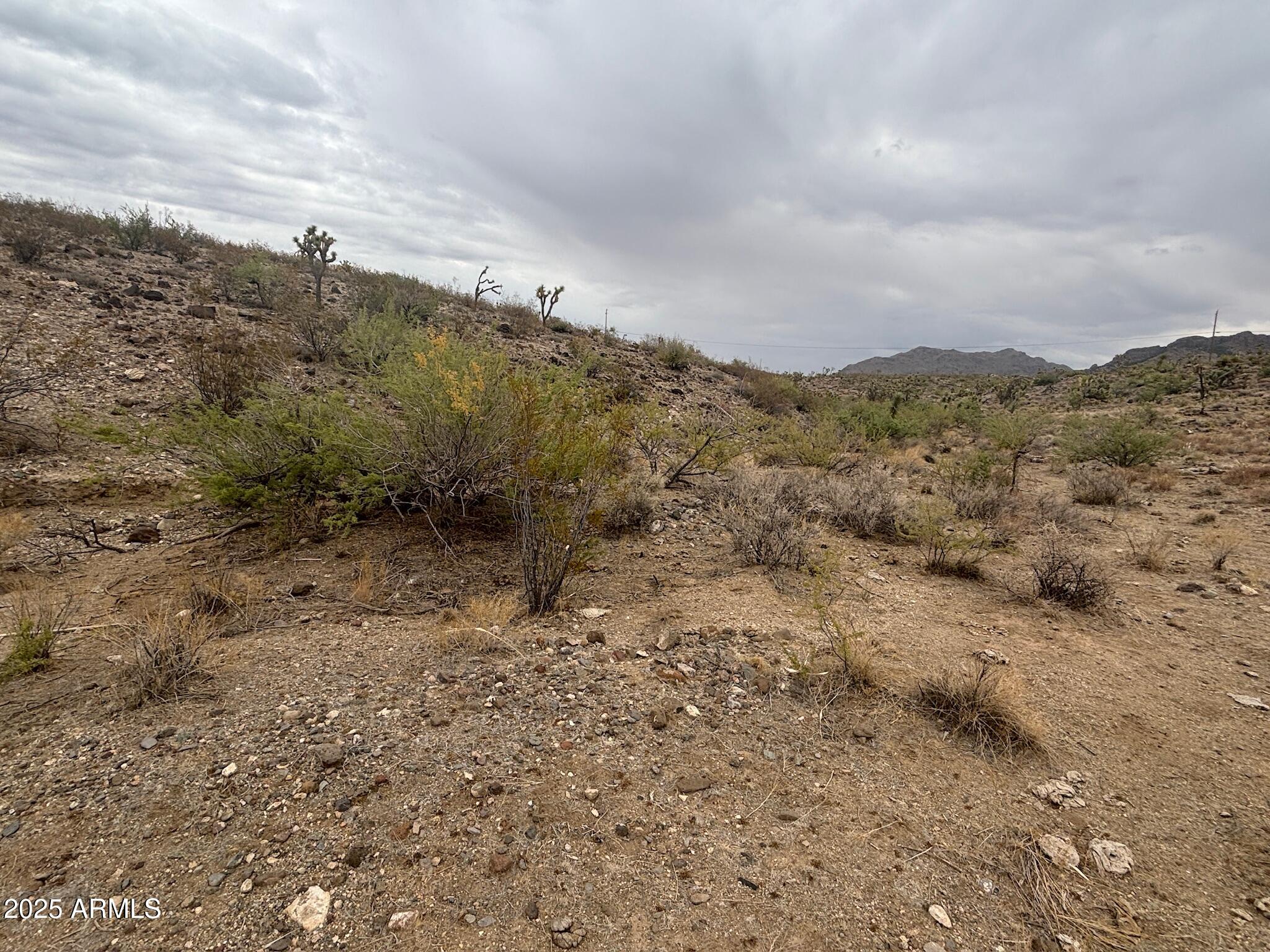 000 N Mohave Drive 48