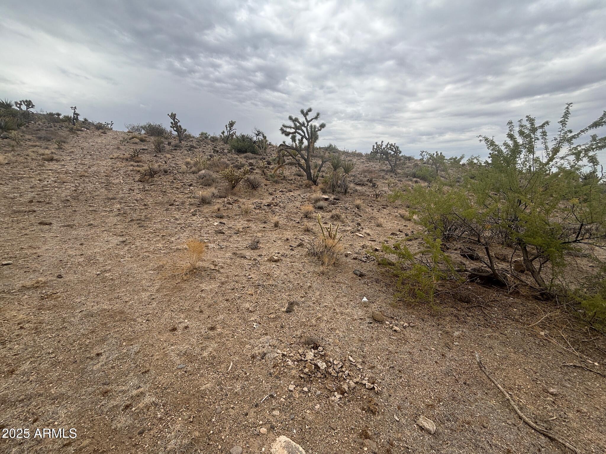 000 N Mohave Drive 48
