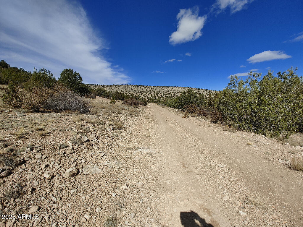 54870 N PAINTBRUSH Lane 798