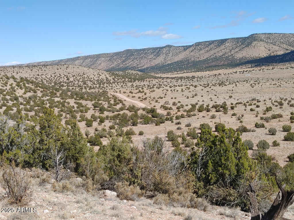 54870 N PAINTBRUSH Lane 798