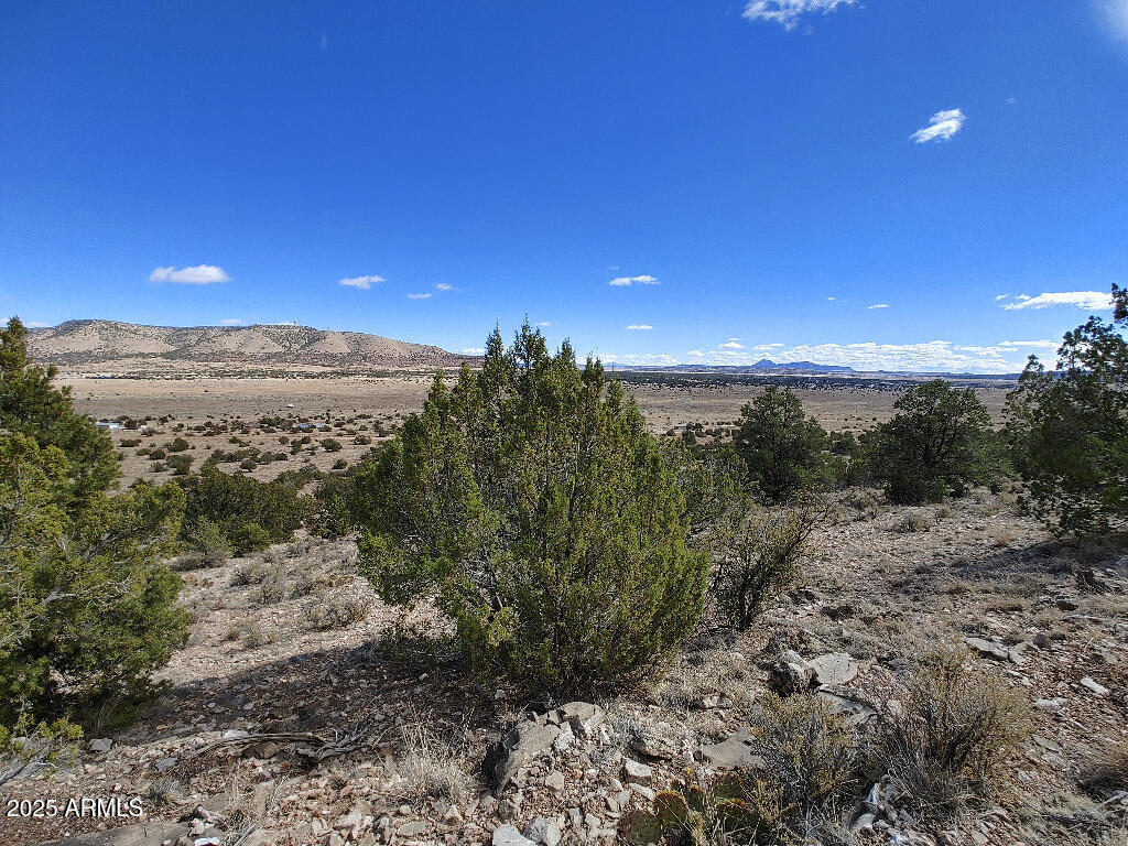 54870 N PAINTBRUSH Lane 798