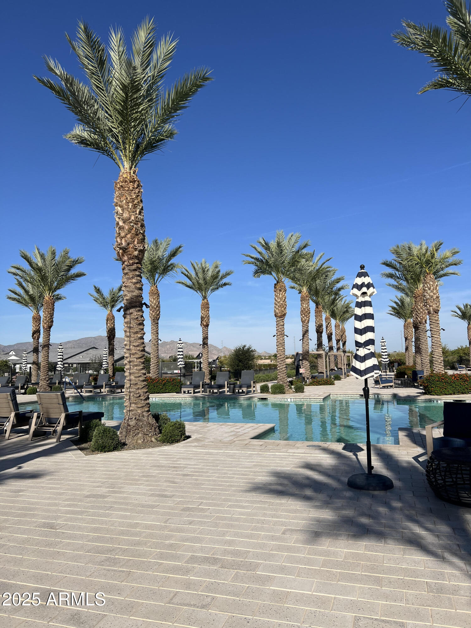 11300 N CASA DEGA Drive 1061