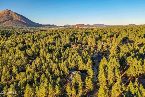 A home in Flagstaff