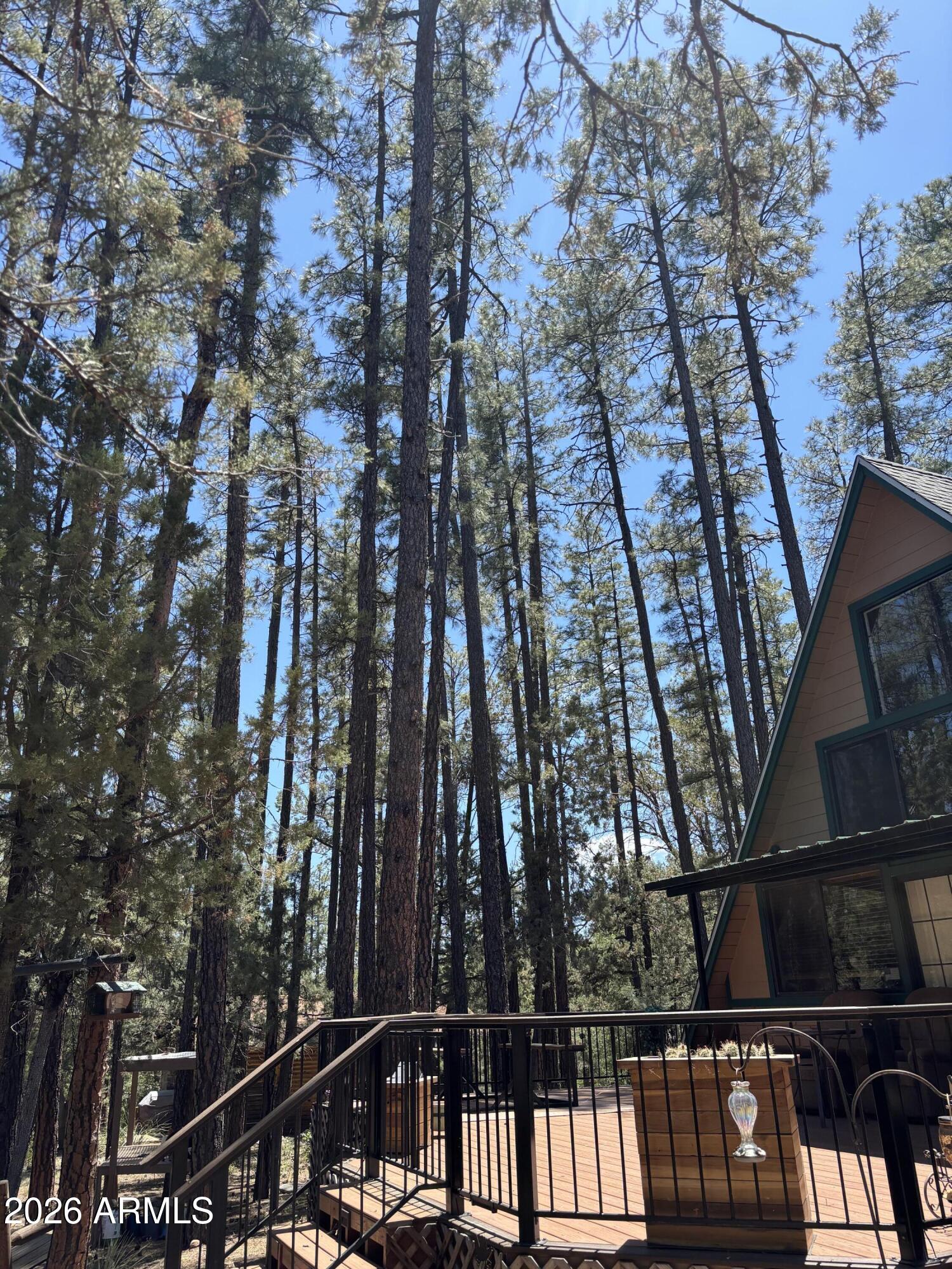 257 E Tall Trees Avenue