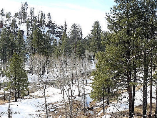 3369 WINDY LN # 145, HEBER, AZ 85928 - Image e8967f96251fd238dbb3f2f63765a054/3047346287