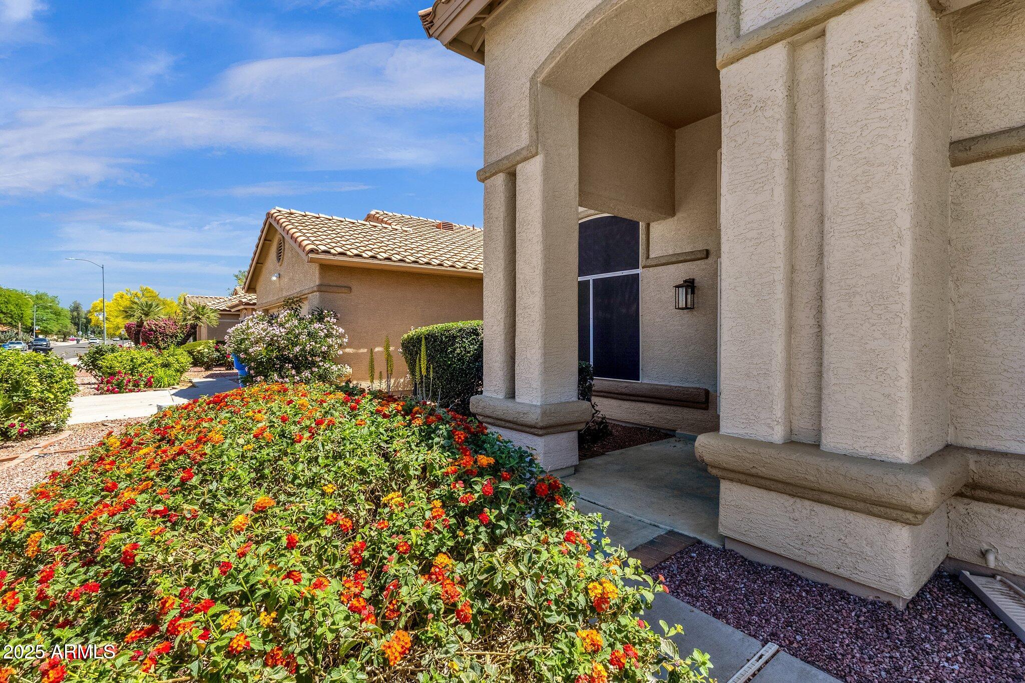 4633 E DESERT CACTUS Street