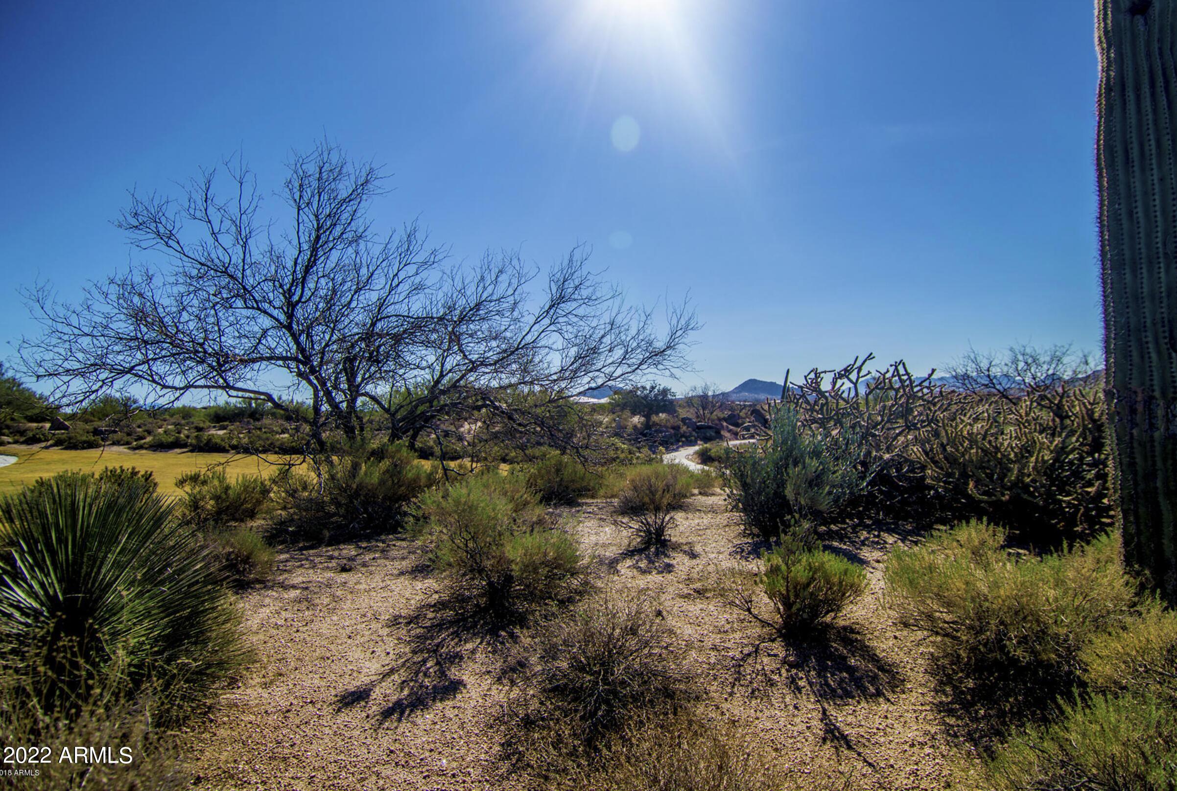 37995 N 109TH Street 136