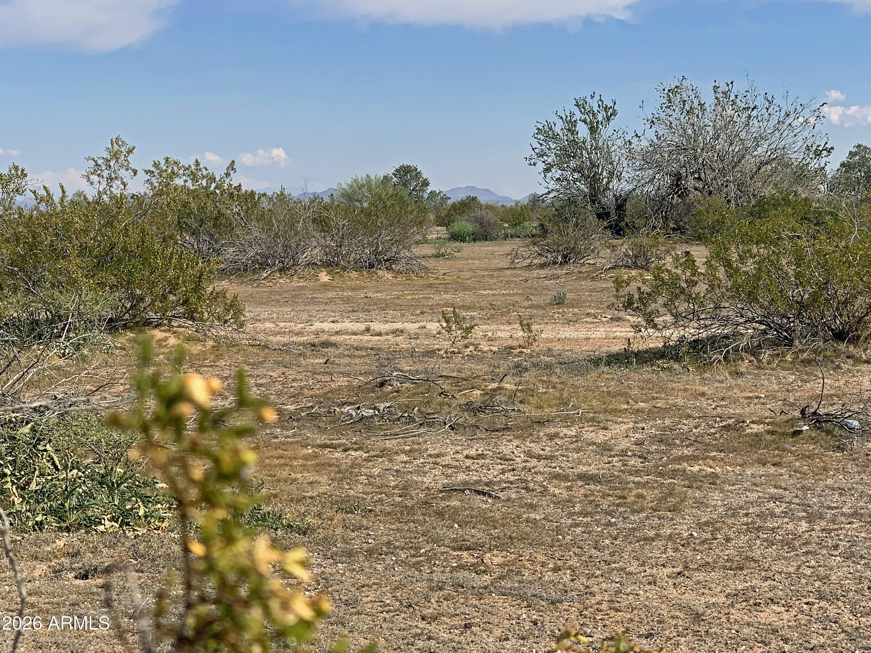 0 W Pampas Grass Road 5