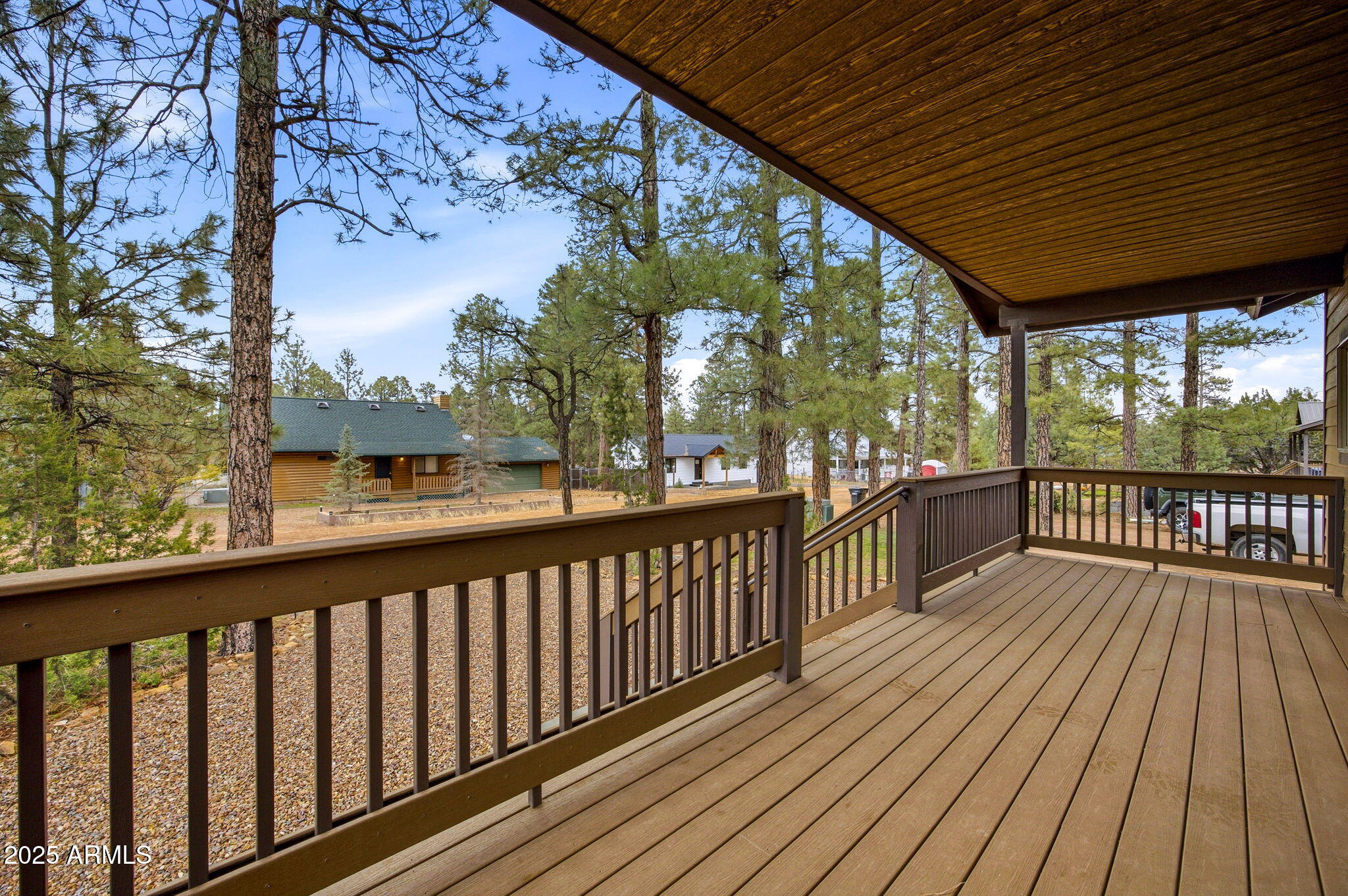 1979 CHRISTMAS PINE Circle