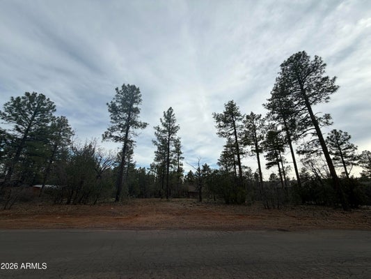 5961 E STARLIGHT RIDGE RD # 10, LAKESIDE, AZ 85929 - Image e932f4fe4607a7b94bcd540c0bf05fee/3187932878