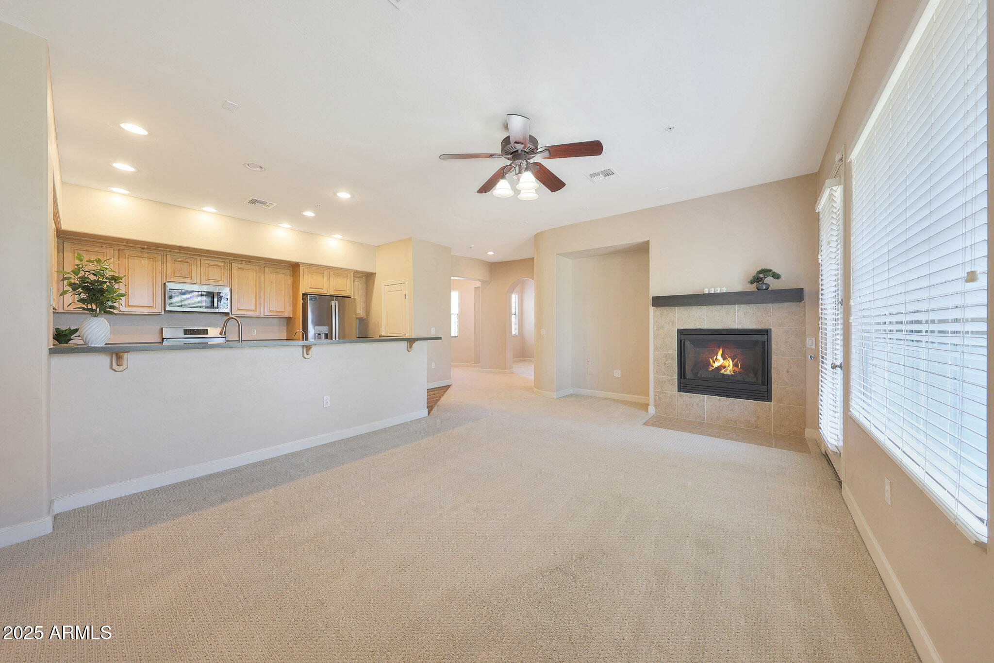 20750 N 87TH Street 2062