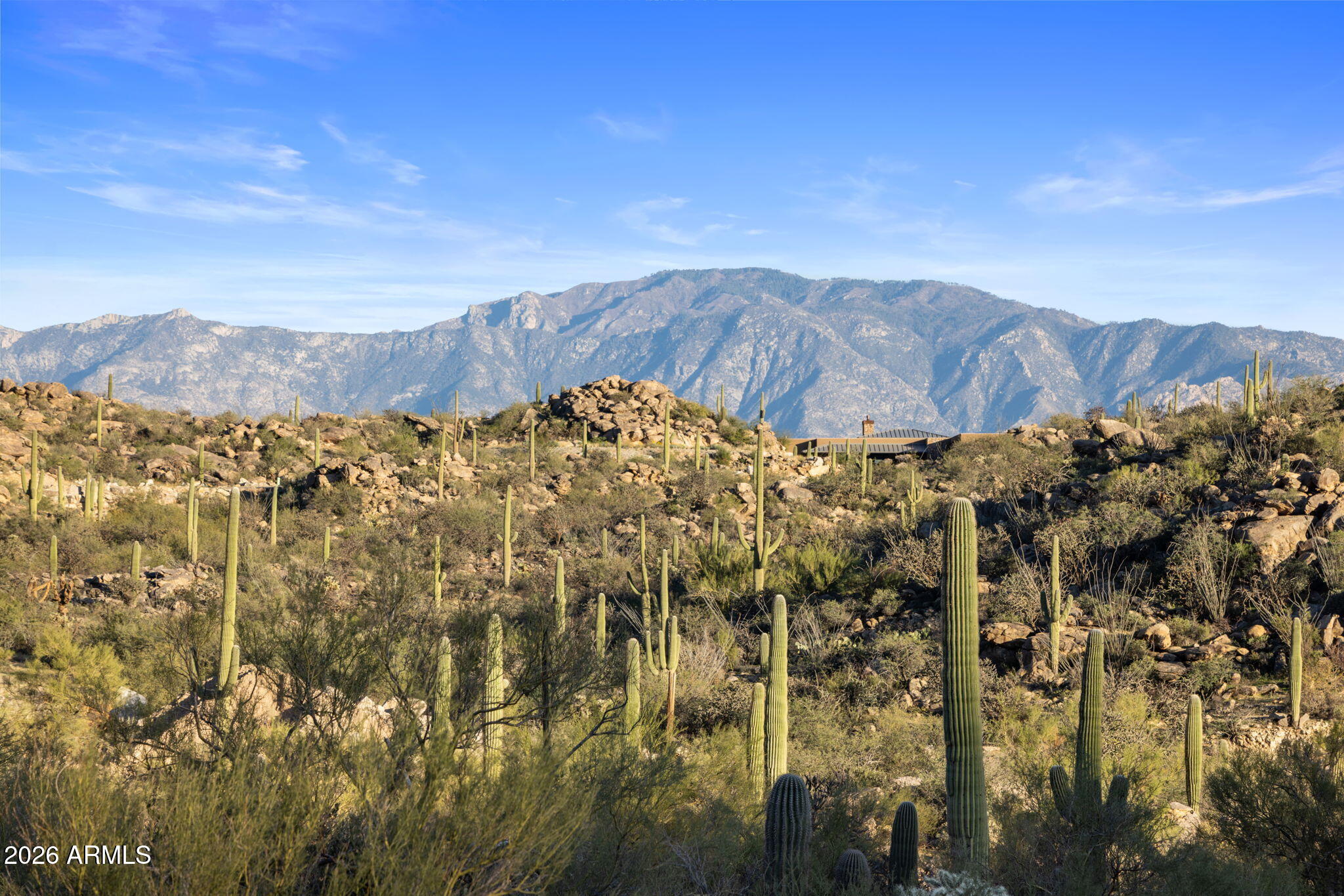 Saguaro Ranch - Residential