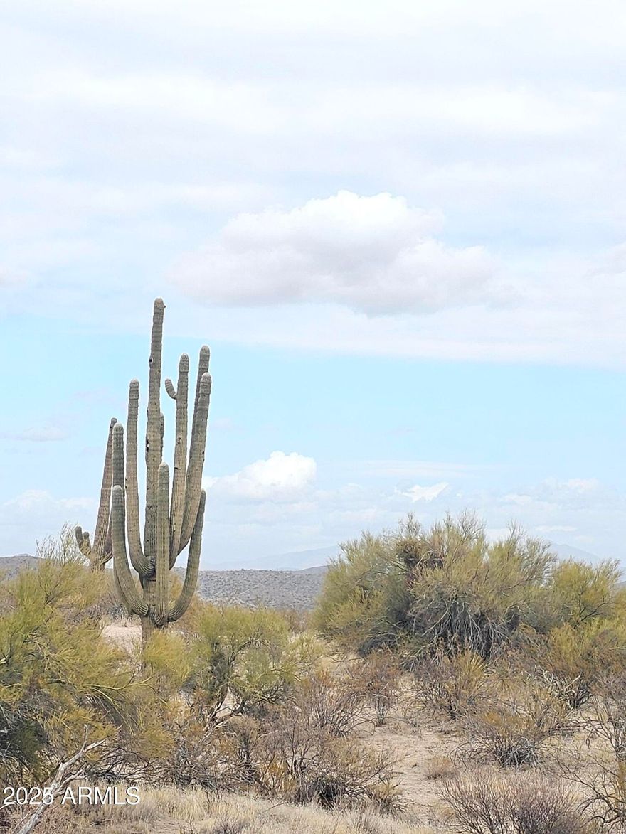 The PERFECT NEW SPOT for 2026 & BEYOND!  Serenity at its finest w/Mountain View surrounds, Four Peaks, Sonoran Preserve & Tonto National Forest.  Hiking, Biking, Horseback riding, Quads and Dirt Bikes can be enjoyed on the many nearby trails. Scottsdale, Cave Creek, Carefree or Rio Verde nearby for the busier life if you like but the peace and quiet can be your haven when you own this lot. Feel the Tranquility! Deed restriction is for one minimum 1800 sq foot home.