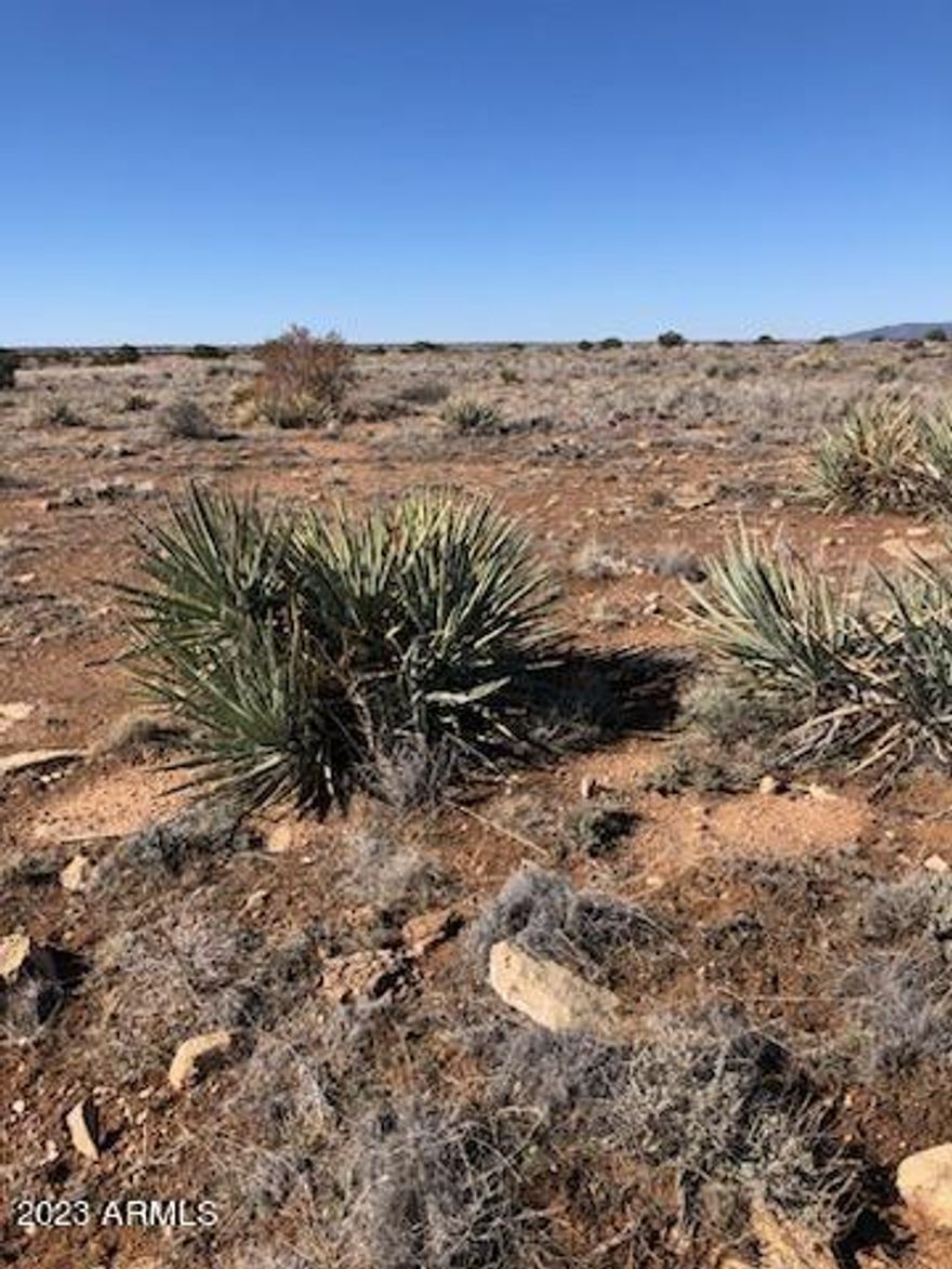 WOW! THIS ONE BACKS TO STATE LAND THAT GOES ALL THE WAY TO CHEVELON CANYON, Not many trees, but you can plant trees you can't make any more land! Come enjoy all the wildlife and clean fresh air of the White Mountains.