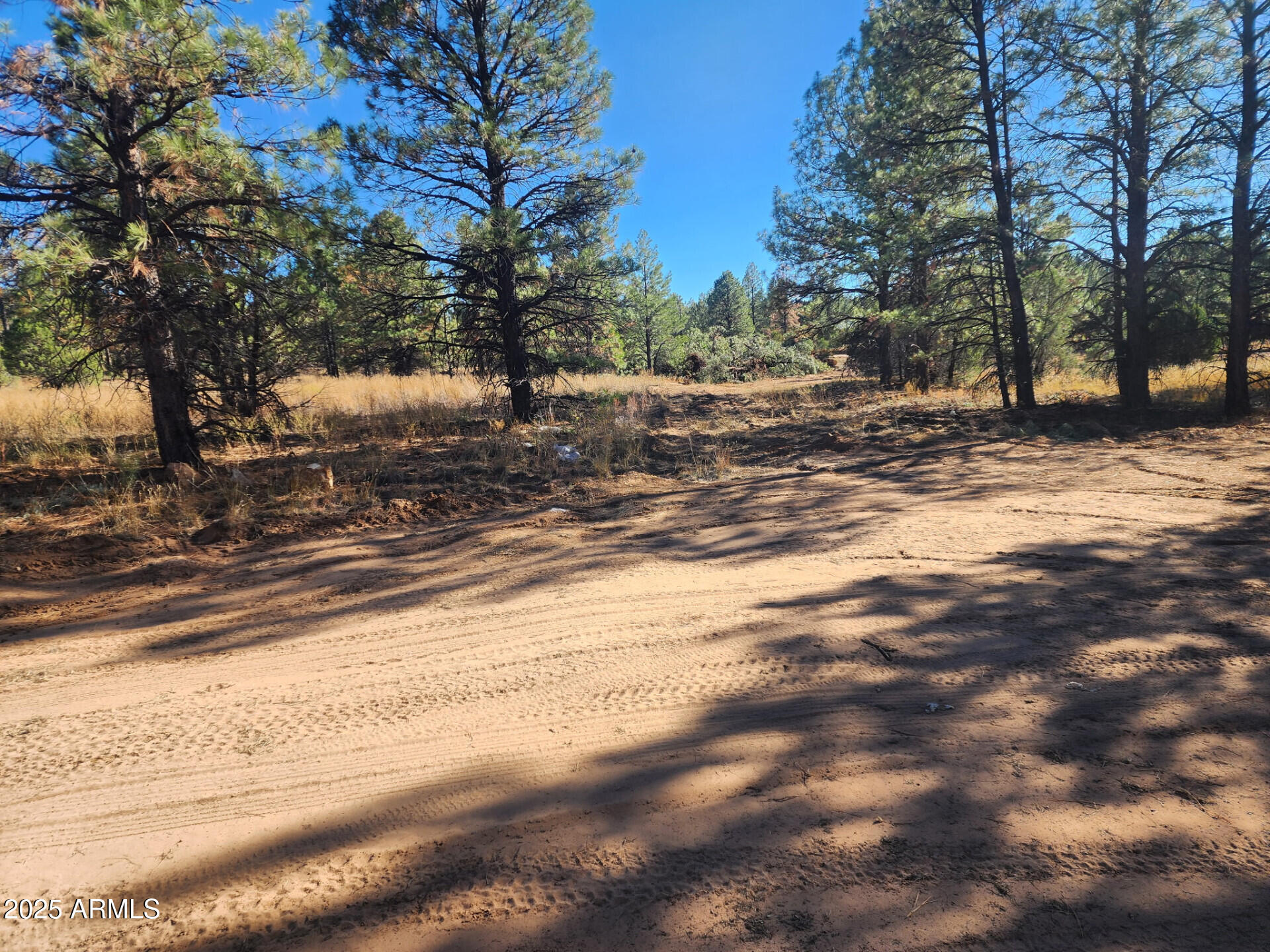 TBD Cedar Bark Trail Parcel #4 -- 4