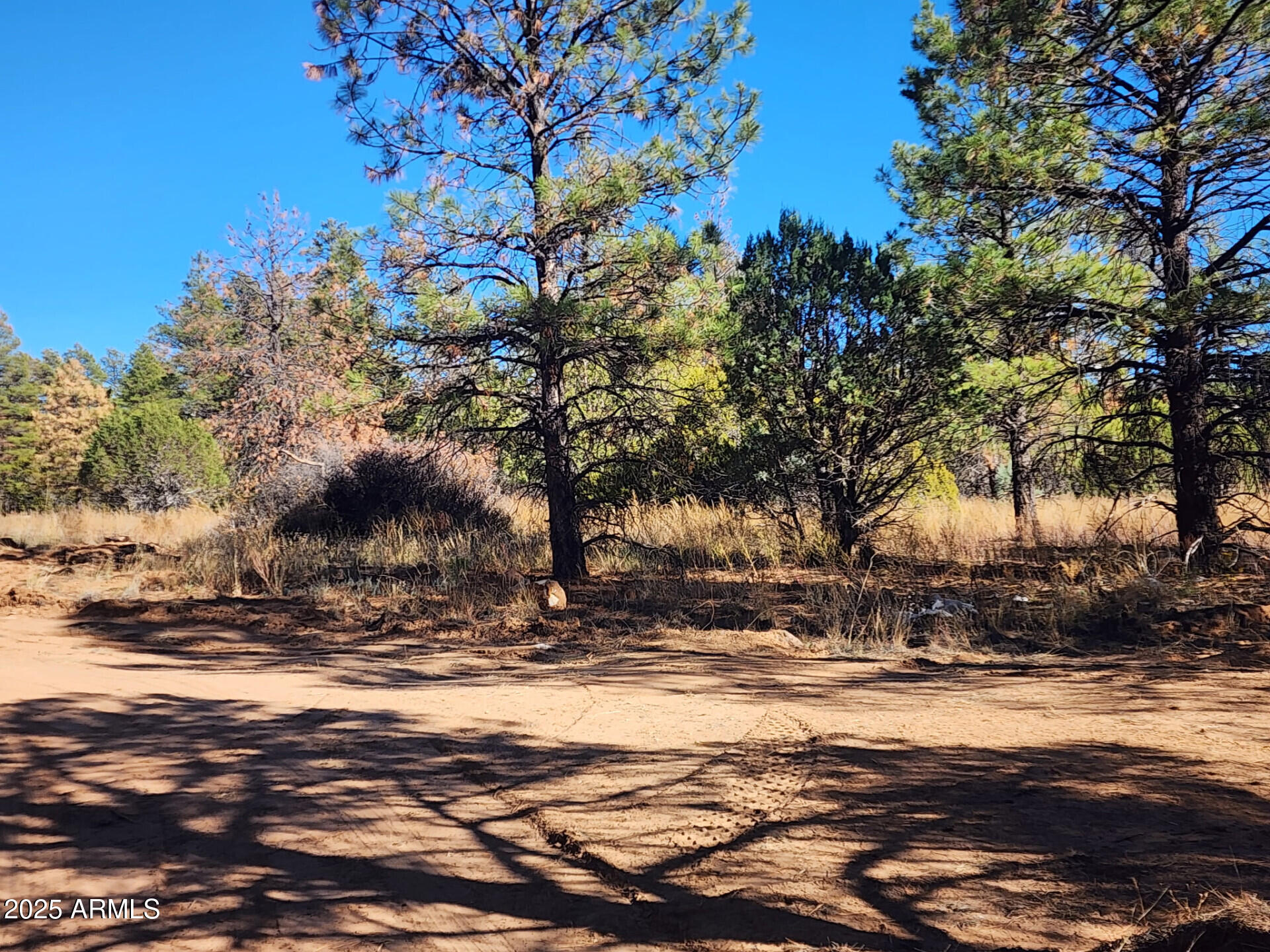 TBD Cedar Bark Trail Parcel #4 -- 4