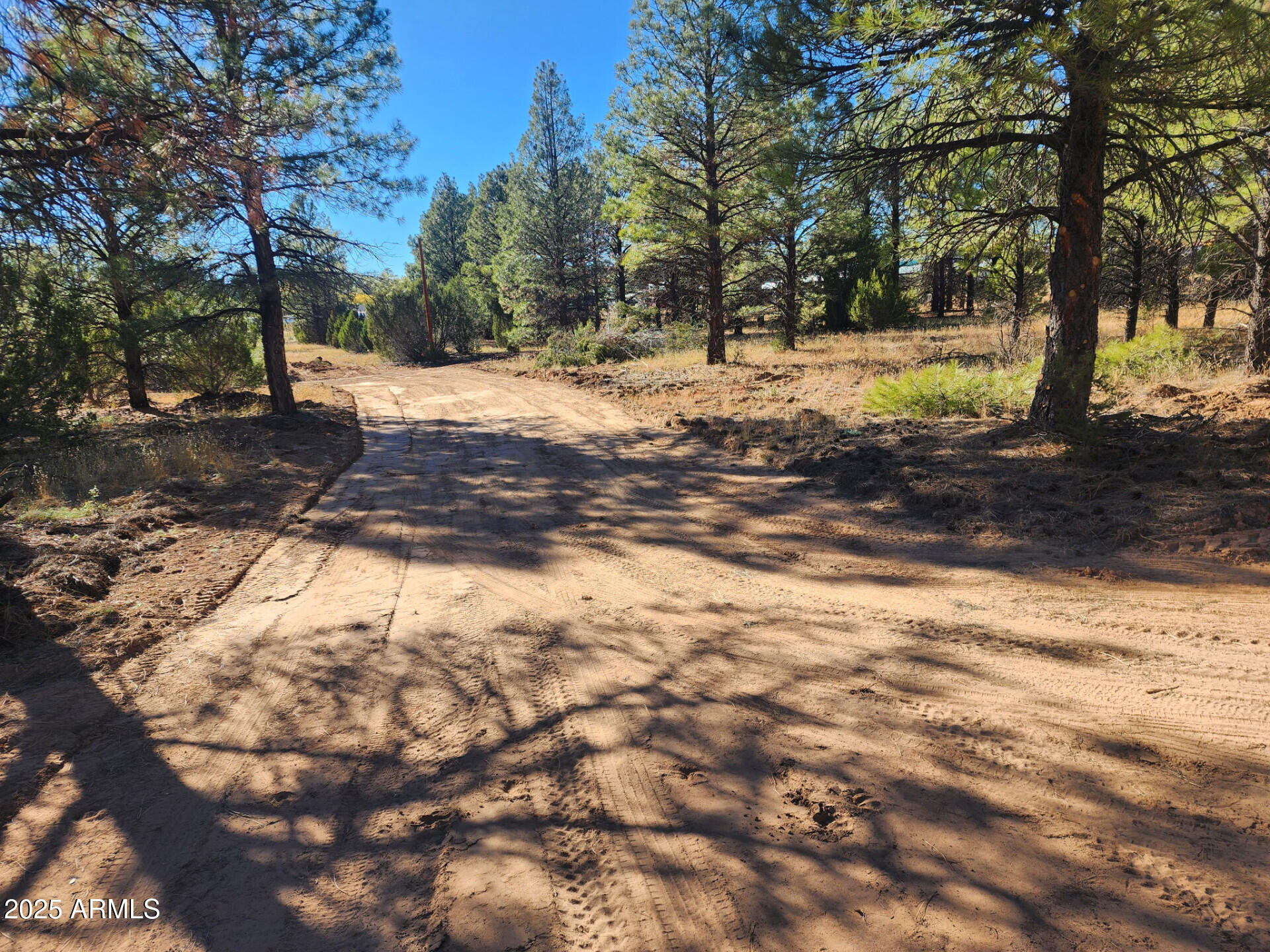 TBD Cedar Bark Trail Parcel #4 -- 4