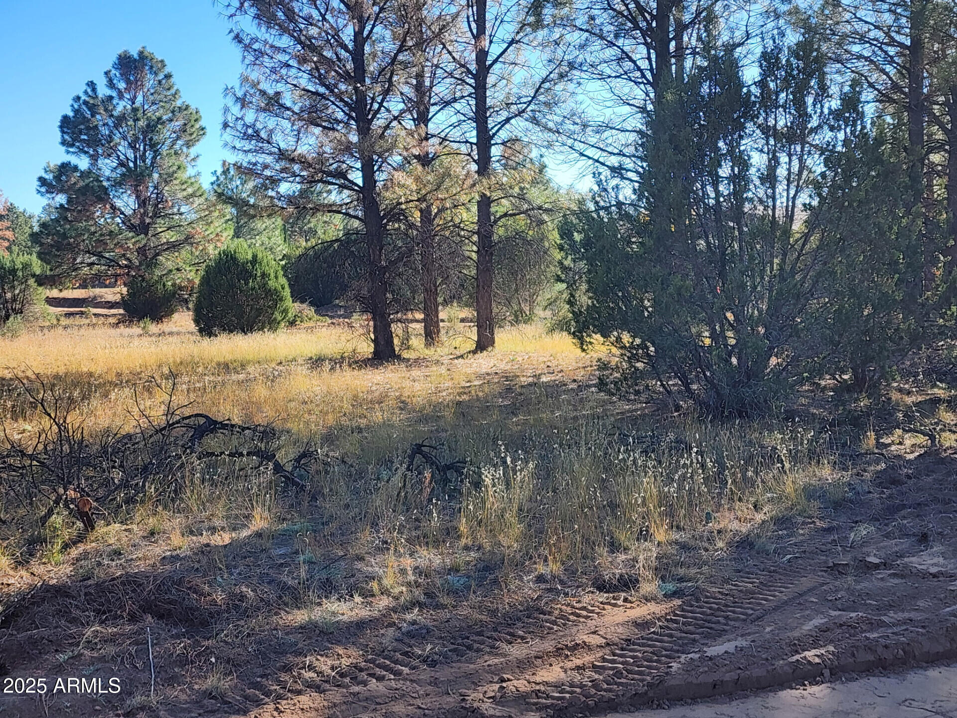 TBD Cedar Bark Trail Parcel #4 -- 4