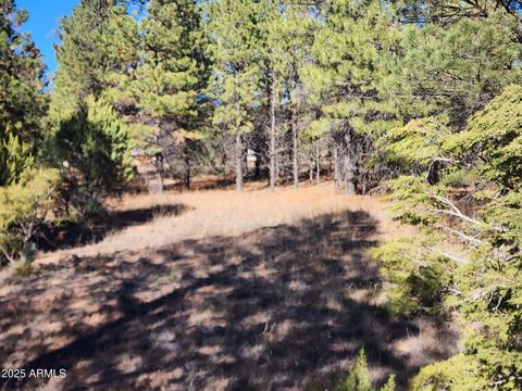 TBD Cedar Bark Trail Parcel #4 -- 4 Overgaard AZ 85933