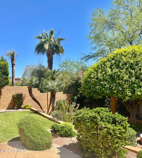 A home in Phoenix