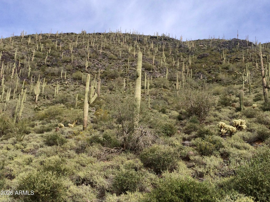 Photo of 6212 E Carriage Drive #-, Cave Creek, AZ 85331 (MLS # 7062382)