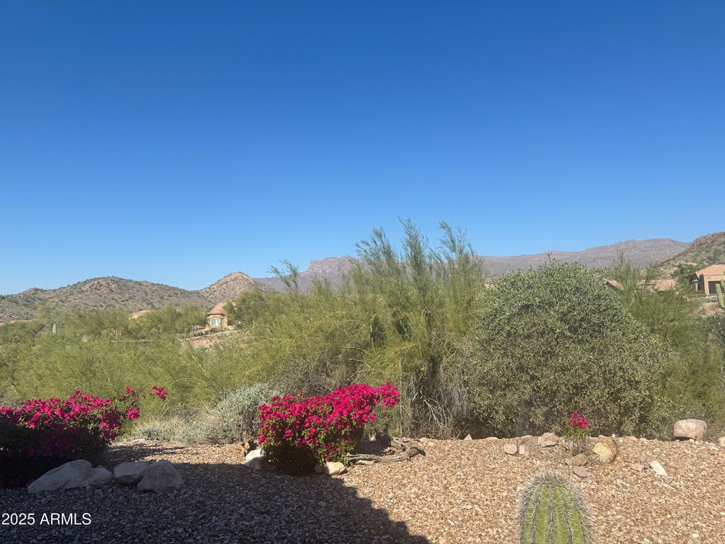 Photo of 5357 S Juniper Hills Drive, Gold Canyon, AZ 85118 (MLS # 6947101)