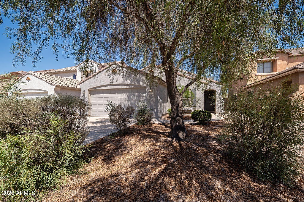 43842 W ELIZABETH Avenue