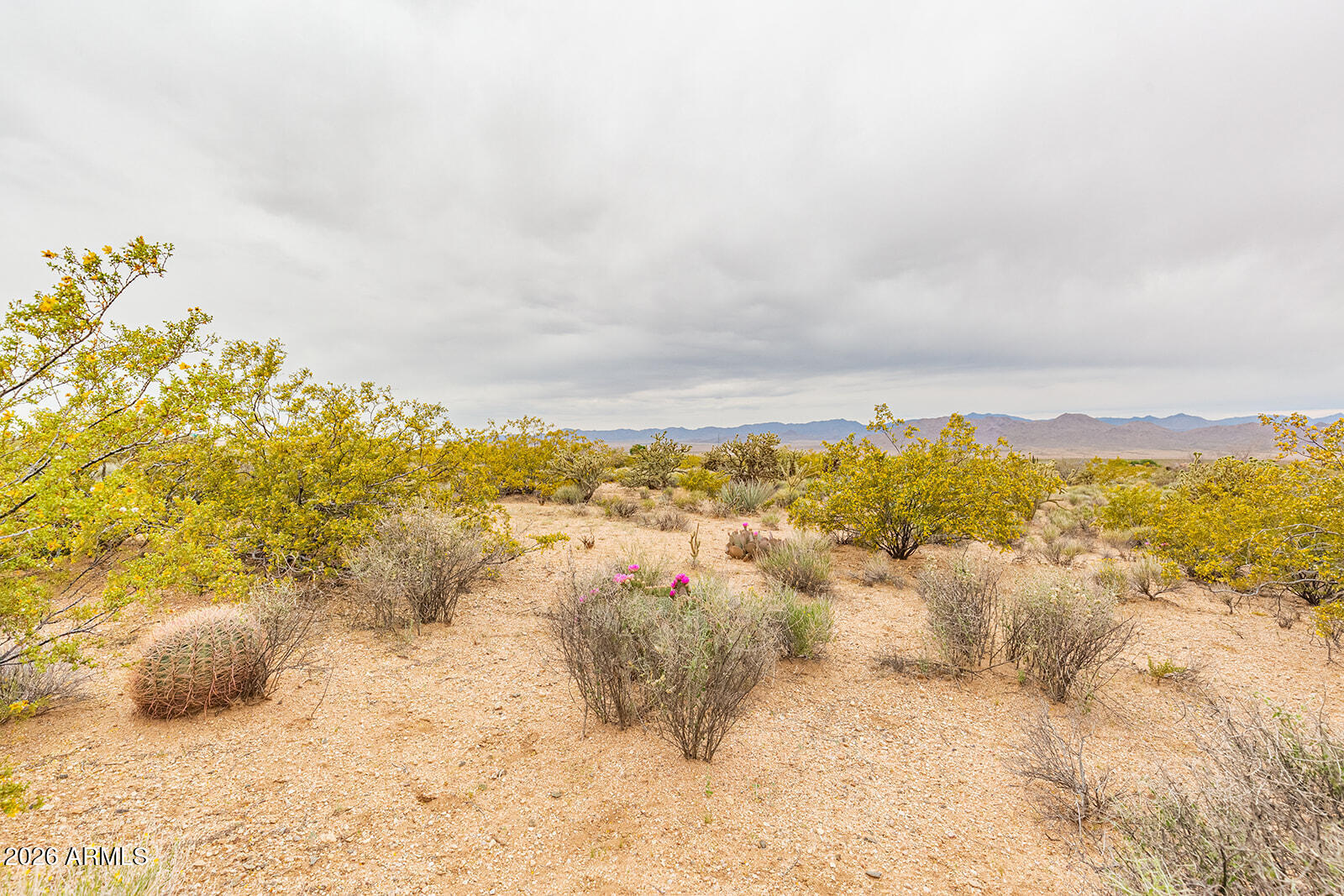 8699 N COCHISE Place 430