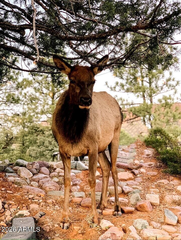 PINE MOUNTAIN ACRES AMENDED - Residential