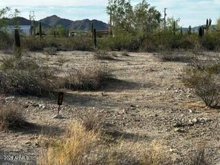 Photo of 0 W Momoli Road W #21, Maricopa, AZ 85139 (MLS # 7070857)