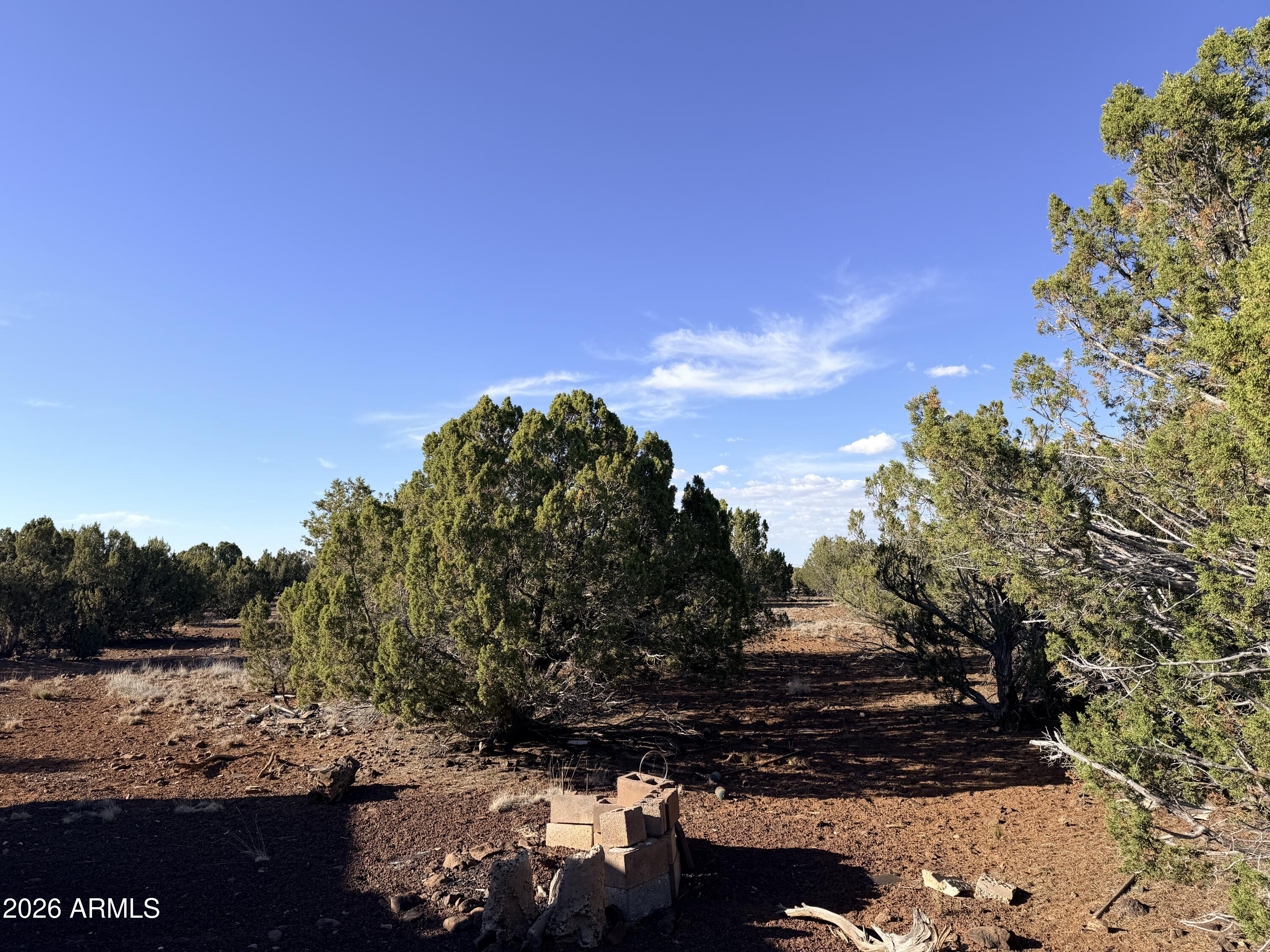 9070 PINTO Trail -