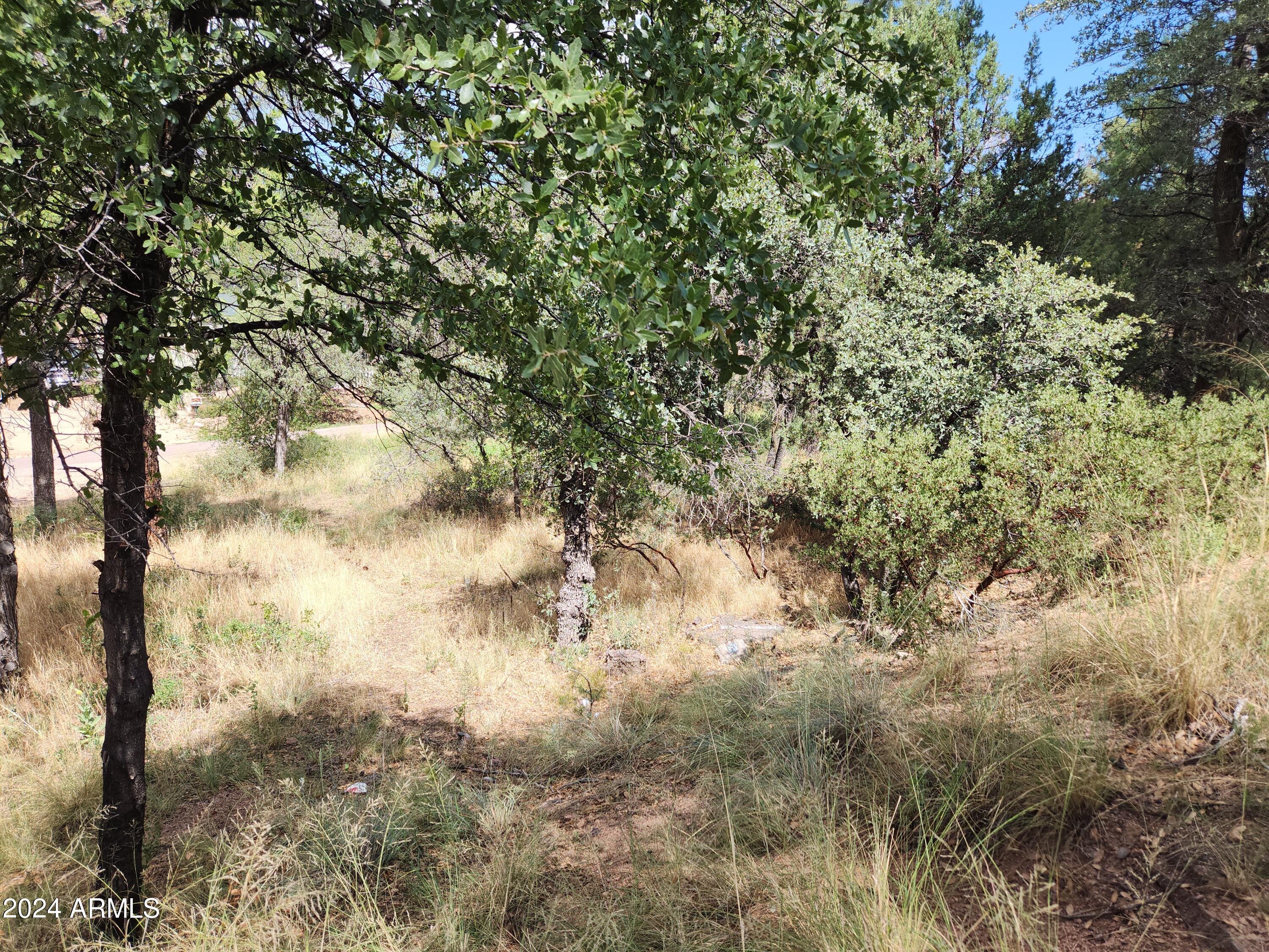 910 N BEELINE Highway 89