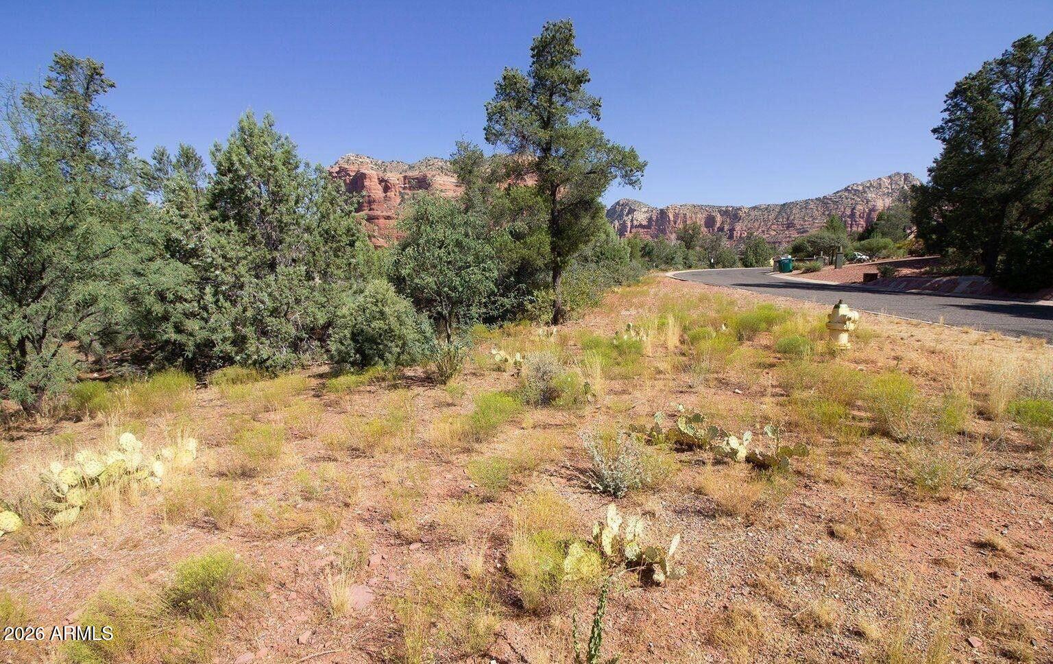 PINON WOODS UNIT - Land