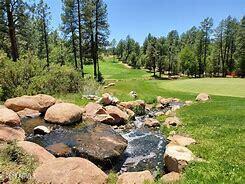 PINE ISLAND CHAPARRAL PINES - Residential