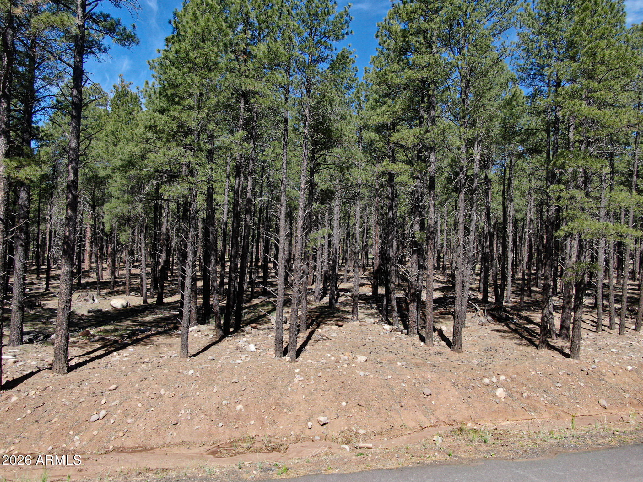 9576 RANCH AT THE PEAKS Way 66
