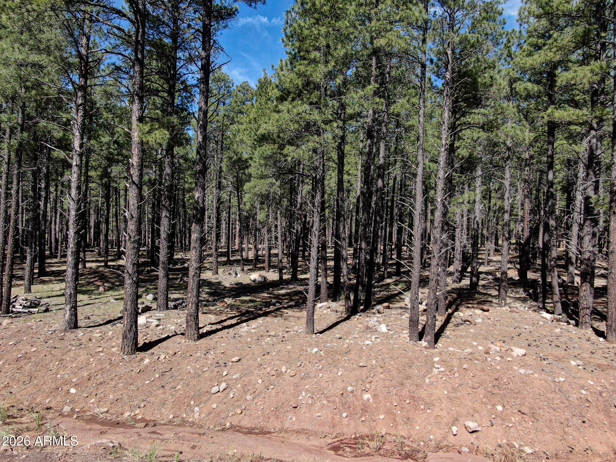 9576 RANCH AT THE PEAKS Way 66