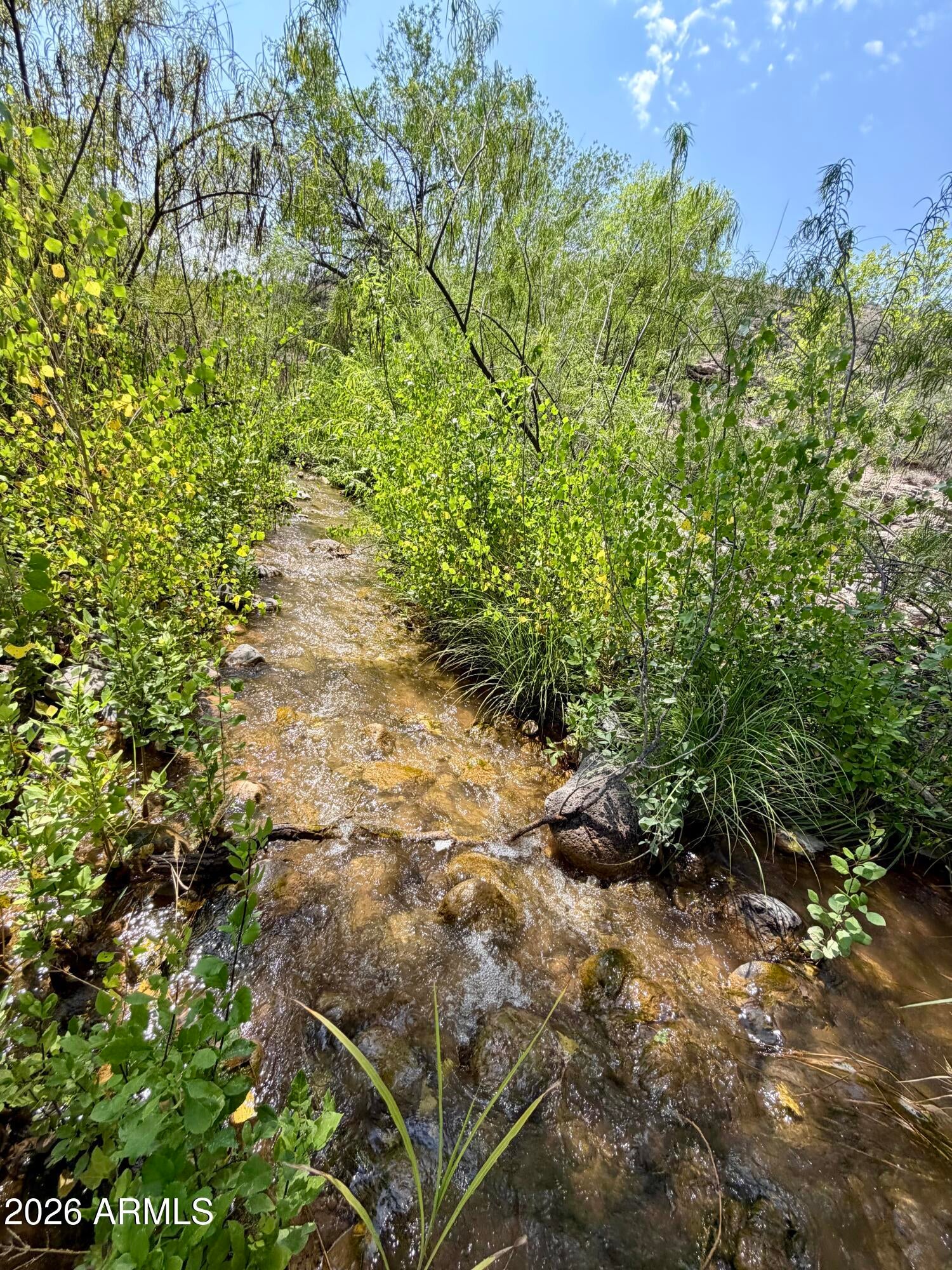 3070 E RIMROCK Drive 10