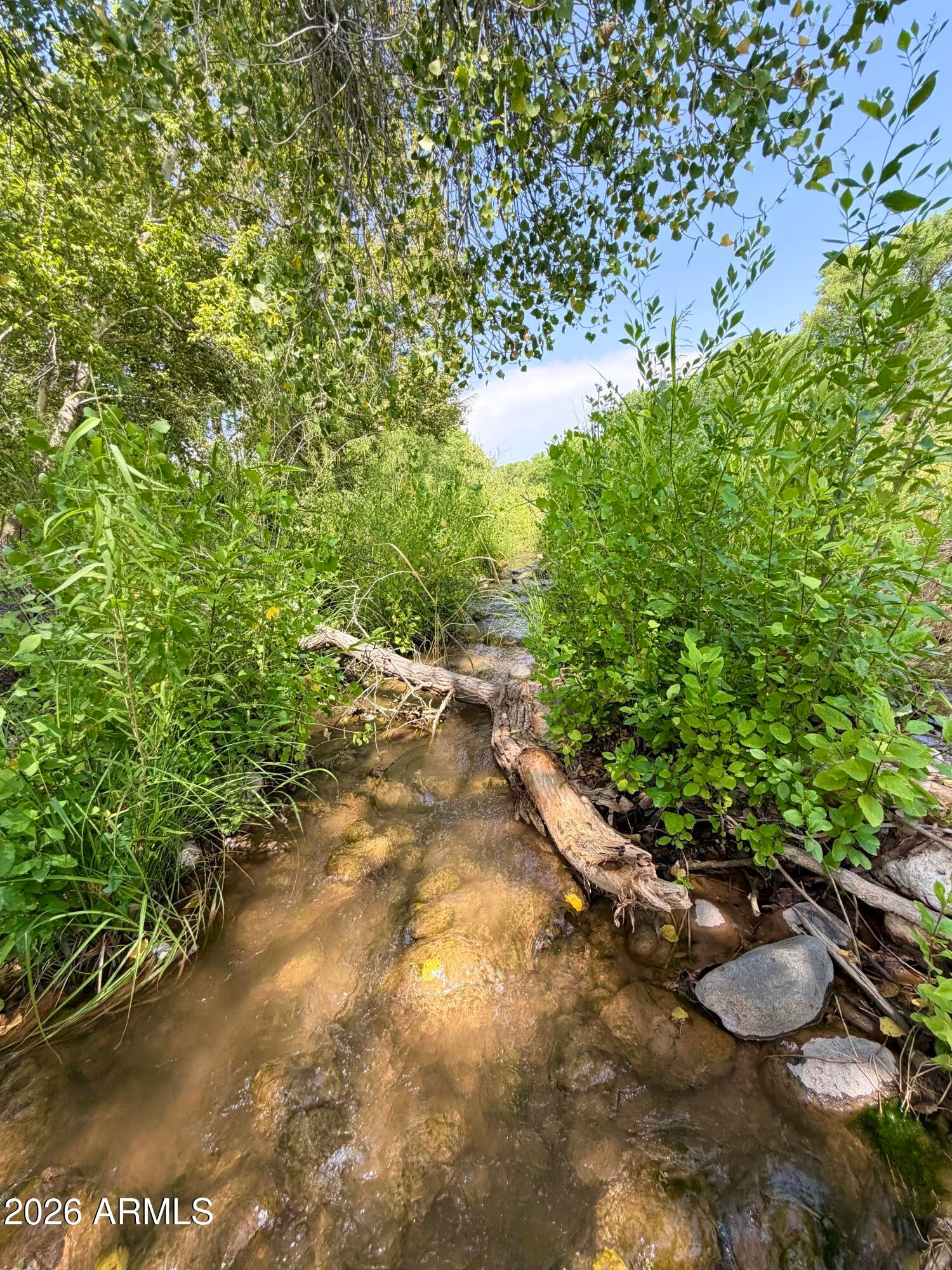 3070 E RIMROCK Drive 10