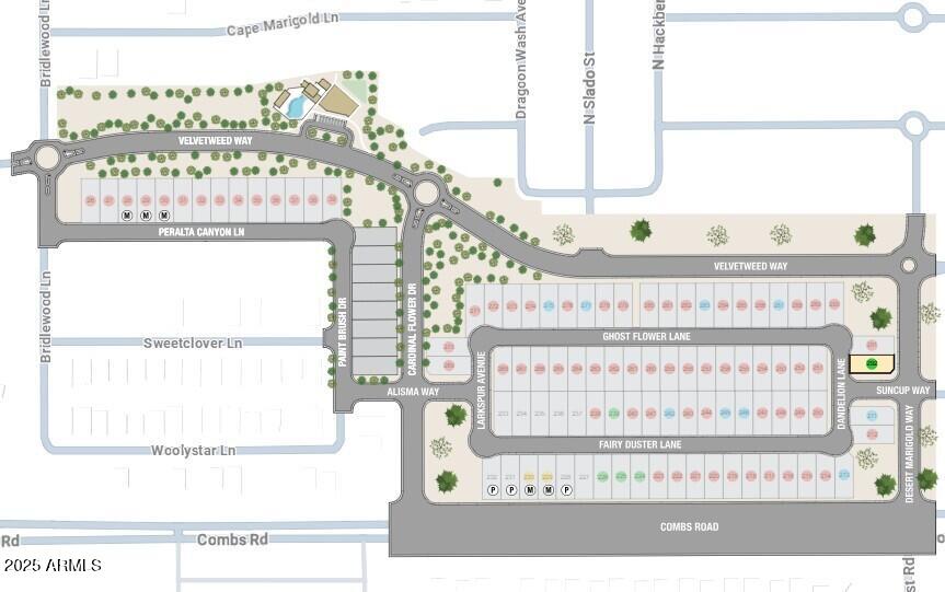 37683 N DANDELION Lane