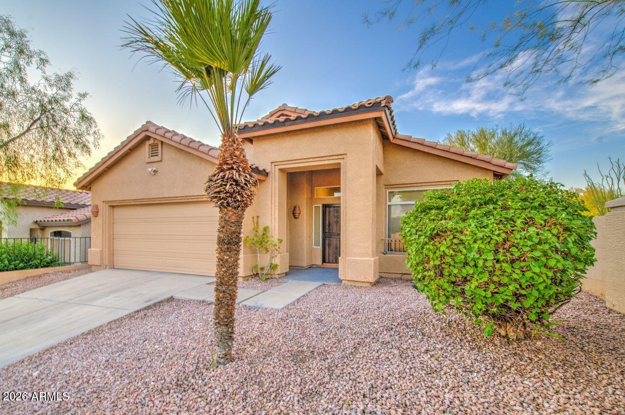1250 E Captain Dreyfus Avenue