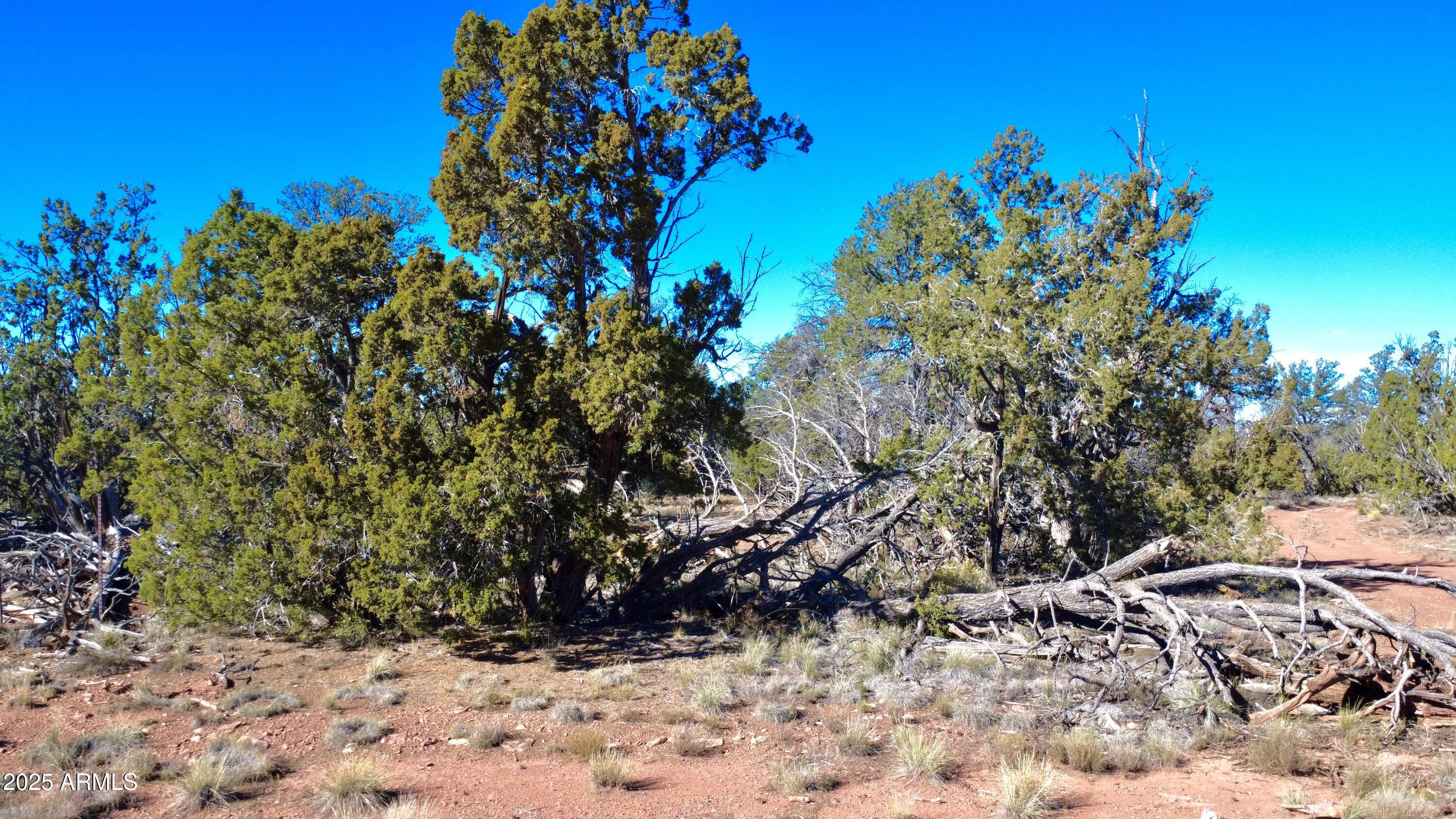 5690 N CUBBY BEAR Way 126