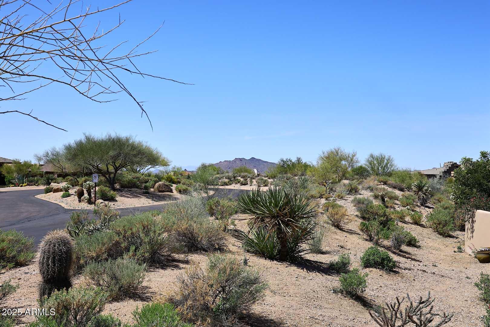 10204 E NOLINA Trail
