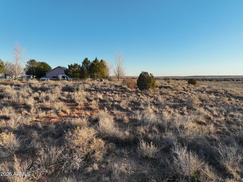 2597 E 6th Sundown Lane - Snowflake AZ 85937